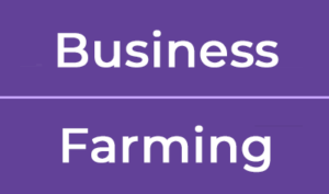 Farming / Business