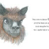 The Alpaca on the Hill - Image 4