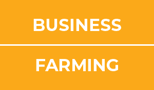 Farming / Business