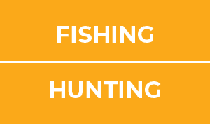 Fishing / Hunting